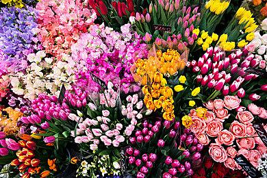 《守望先锋2》联动《街头霸王6》确定5月21日开启